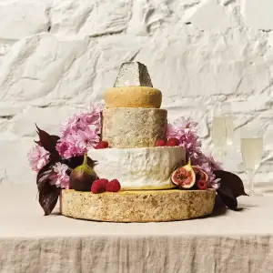 Suir Cake